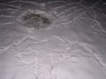 DSCN1170.JPG (2048x1536)