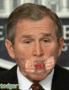 bush_goatse_face.gif (346x450)