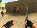 cs_source.jpg (800x600)