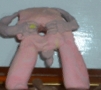 goatdump.gif (178x158)
