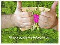 goatse-copy.jpg (226x170)