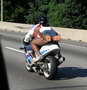 goatsebike.jpg (330x342)
