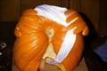 goatsepumpkin.jpg (500x335)