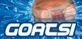 goatsi.png (800x381)