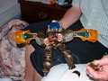 robot.jpeg (640x480)