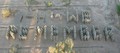we_remember.jpg (787x349)
